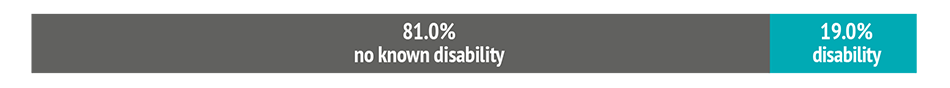 Bar chart showing: 81.0% no known disability and 19.0% disability.