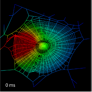 Tuning the instrument: spider webs as vibration transmission structures