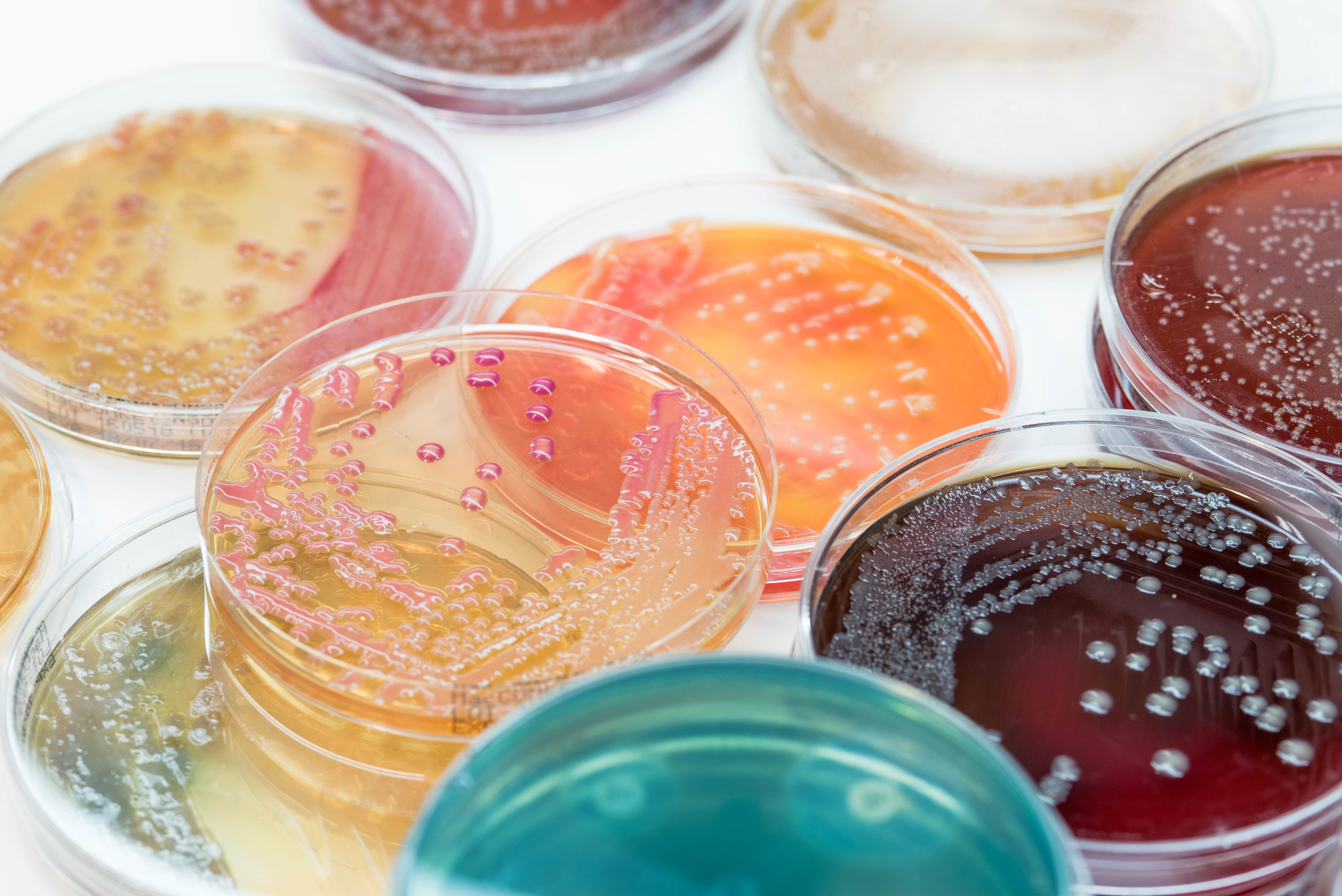 New research network unites Oxford University’s global fight against antimicrobial resistance