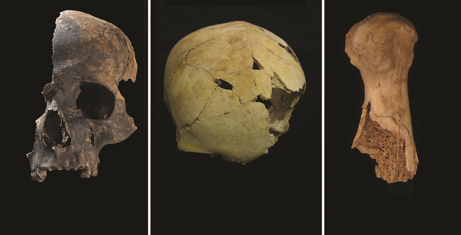 Analysis of butchered bones suggests violent ‘othering’ of enemies in Bronze Age Britain