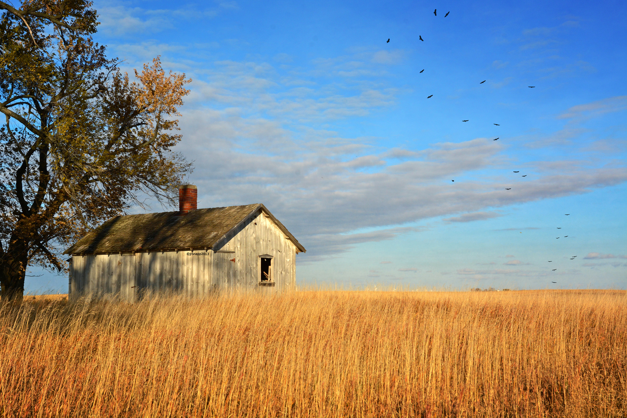 Autumn abandoned.