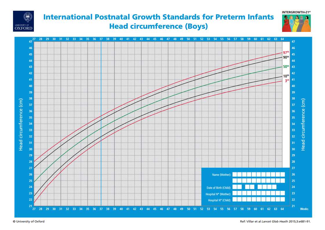 Fetal Head Circumference Growth Chart