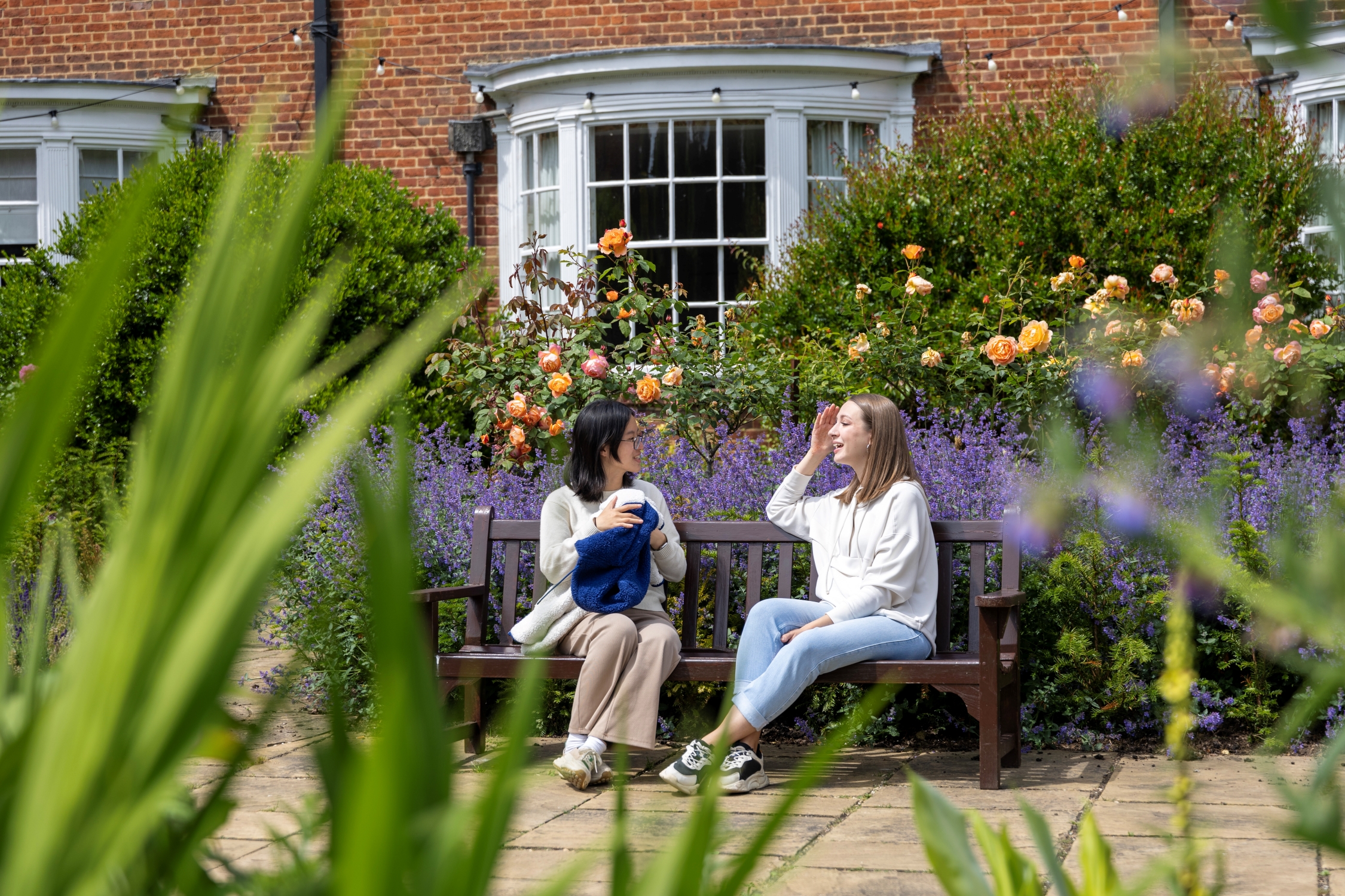 Image of two students talking on a bench surrounded by garden flowers