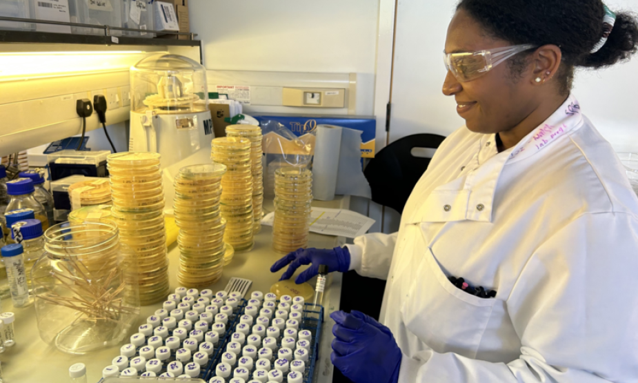 IOI DPhil student Shonnette Premchand-Branker preparing plates in the lab at IOI