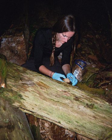 A young woman in a forest crouches over a tree trunk. She wears latex gloves and is removing a piece of bark. 