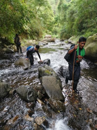 Three people crossing a rocky stream in a tropical forest. The person in front, from the Banao Indigenous Community, holds a walking stick, while another crouches on a rock, and the third stands in the background amid greenery and flowing water.