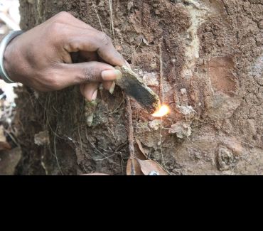 A hand holds a rectangular piece of resin against a tree trunk- the resin is lit with a small flame.