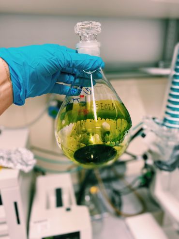 In a laboratory a hand wearing a latex glove holds a glass vial filled with green pigments.