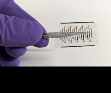 A hand wearing a purple latex glove holds the electrode array, which is a very thin, transparent wafer with embedded electrodes, attached to a stem containing a cable.