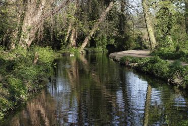 A stream flowing between grassy banks with trees on either side. The trees are reflected in the water.