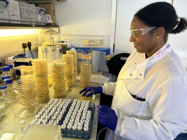 IOI DPhil student Shonnette Premchand-Branker preparing plates in the lab at IOI