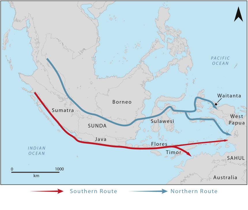 Map showing potential migration routes into the Pacific. Northern route runs from what is now Borneo into Sulawesi, Maluku, and then West Papua. Southern route runs from present-day Java and Bali to Flores, Timor, and then Australia.