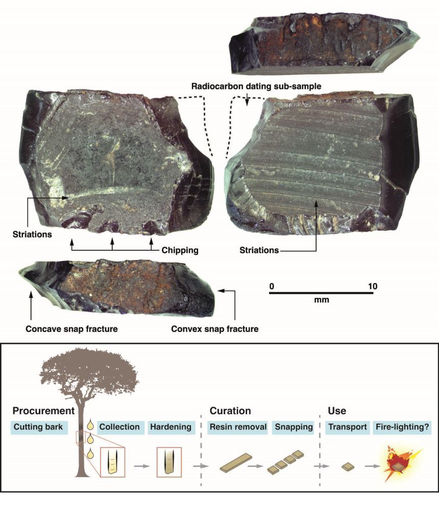 The tree resin artefact found in the study. It is square-shaped and made of dark, glassy material.