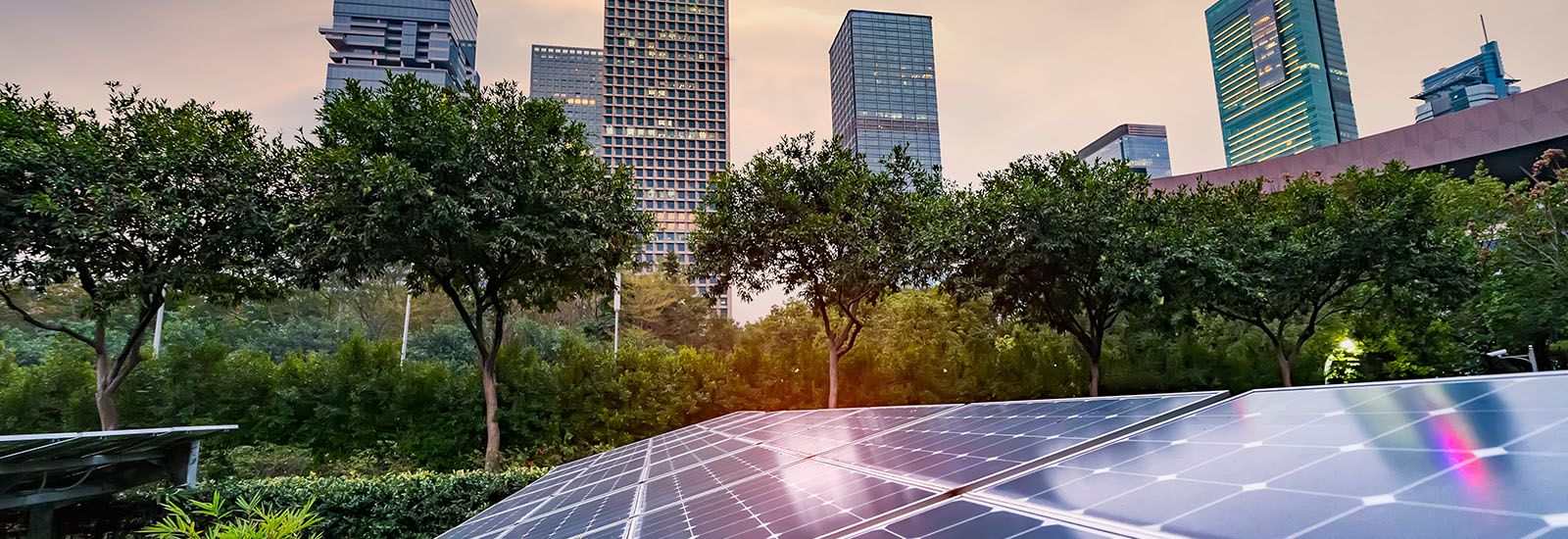 Skyscrapers and solar panels 