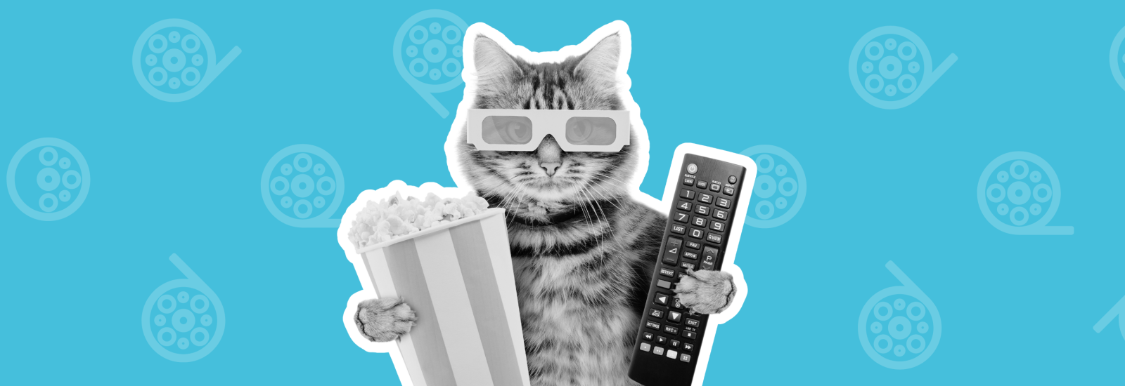 A cat who is ready to watch a film with popcorn and 3D glasses