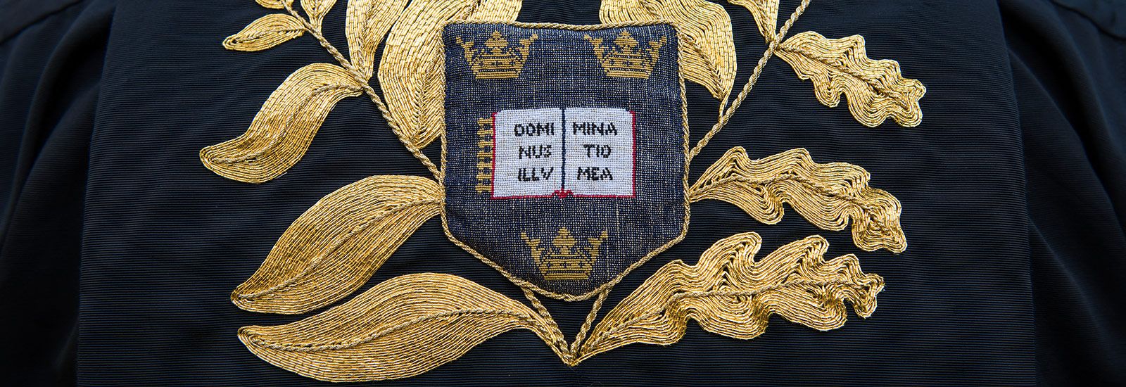 Detail from the Chancellor's robe