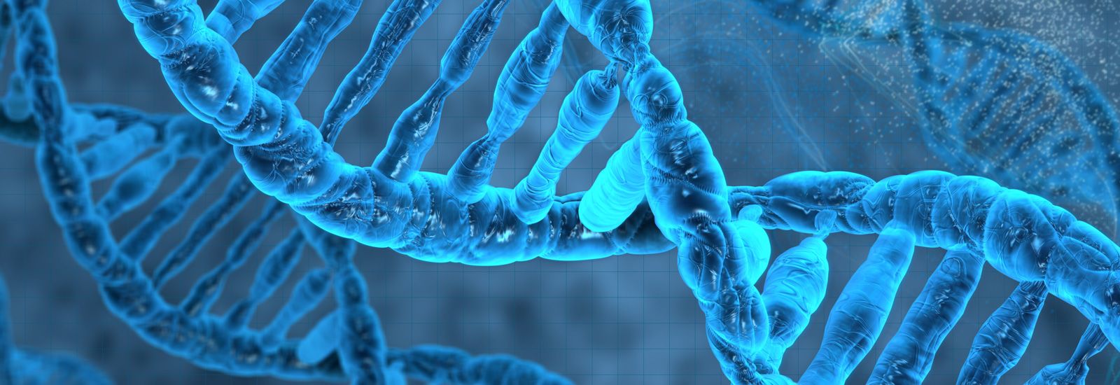 Biochemistry (Molecular and Cellular) | University of Oxford