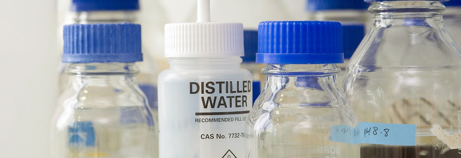 Bottles of distilled water