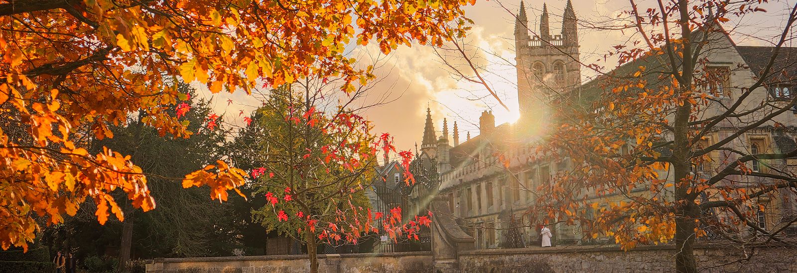 Autumnal trees at sunset in Magdalen College