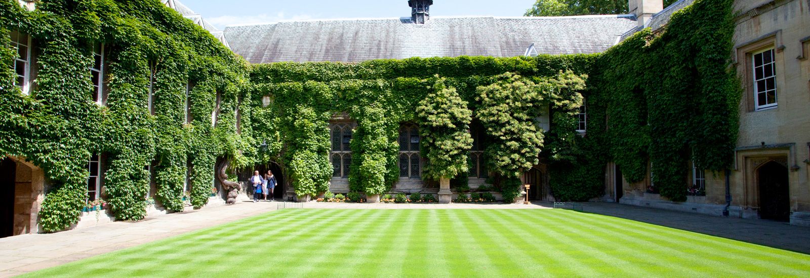 The front quad at Lincoln College with buildings covered in ivy