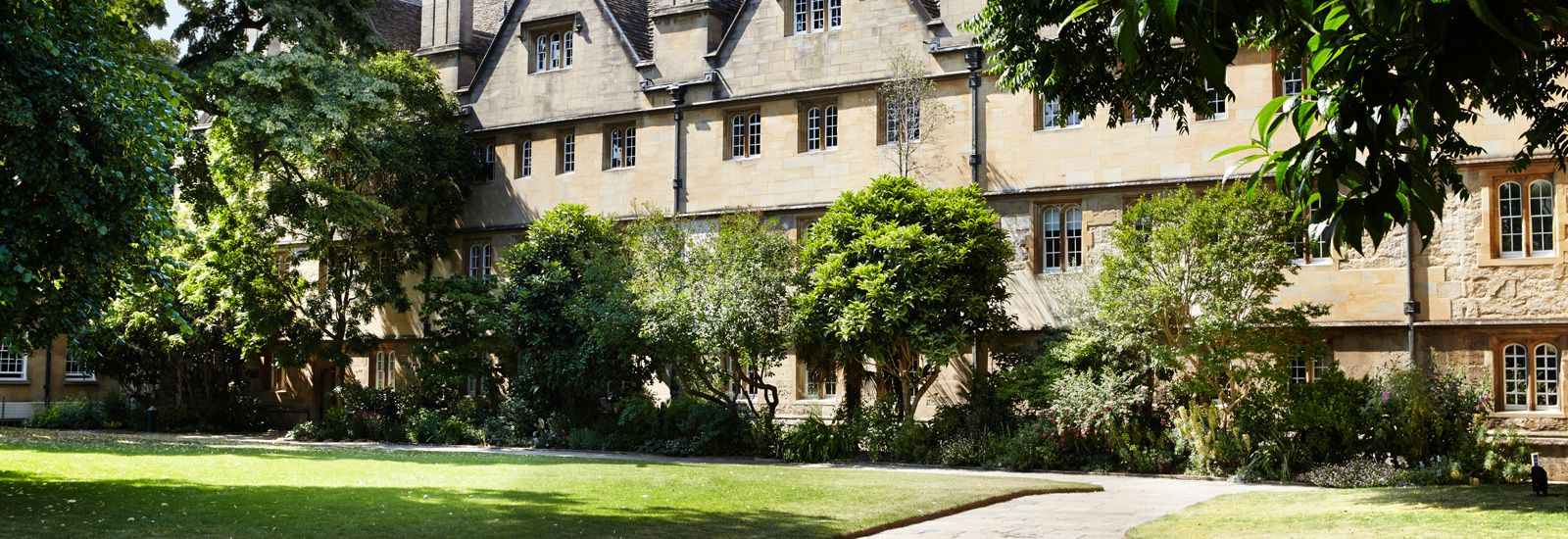 Trees and buildings in Wadham College