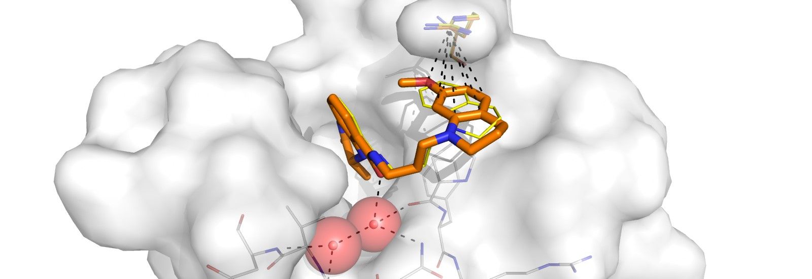 DPhil in Chemistry in Cells: New Technologies to Probe Complex