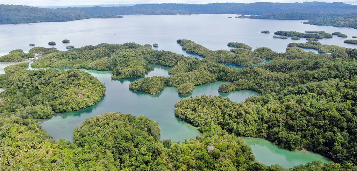 An overhead image of a chain of tropical islands covered in forest.