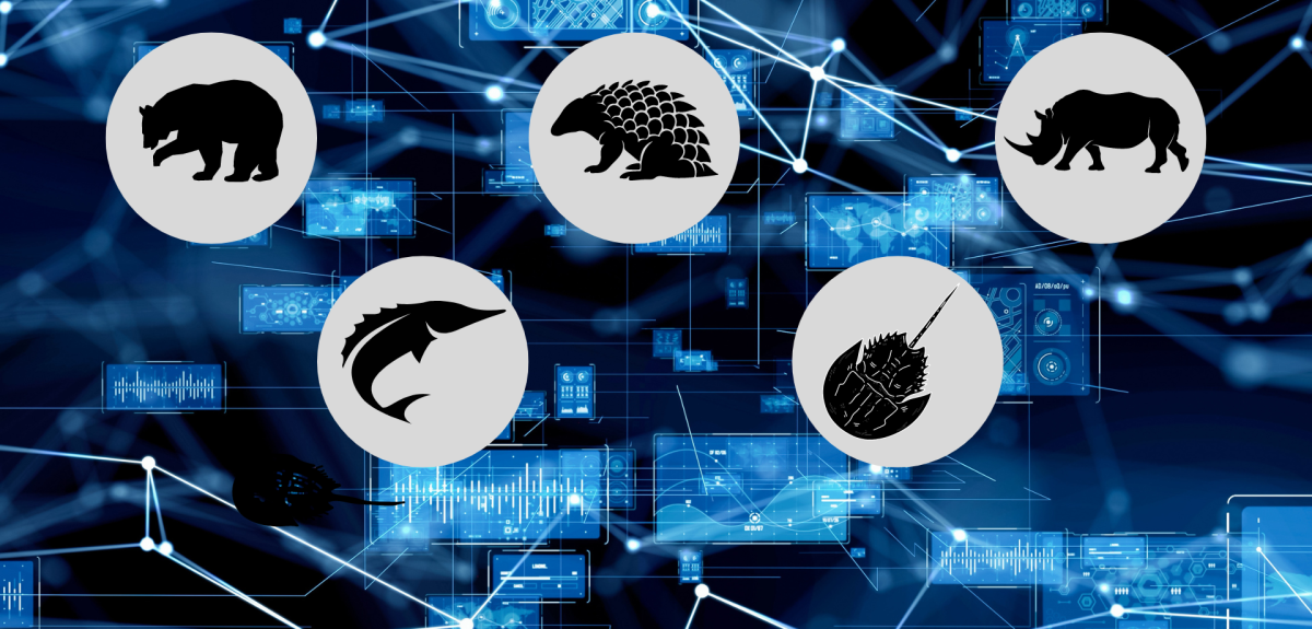 Artistic concept of data with icons superimposed of a bear, rhino, sturgeon, horseshoe crab and pangolin.