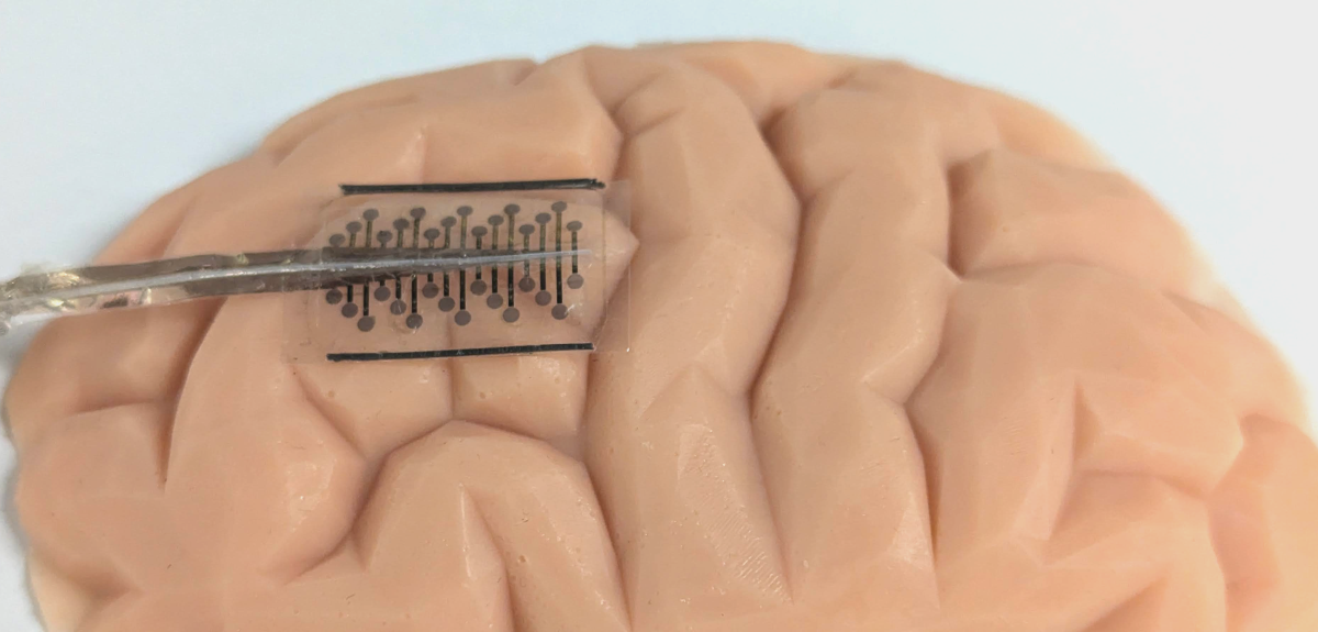 A rectangular see-through wafer with embedded electrodes overlaid on the surface of a model brain. 