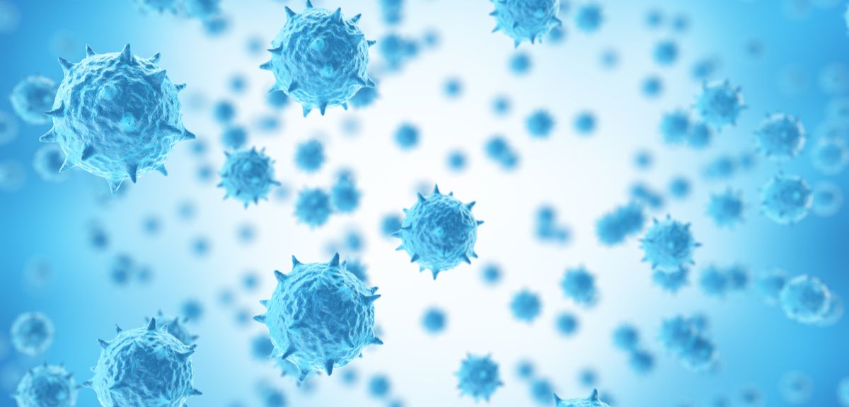Influenza virus molecules set immune response into overdrive