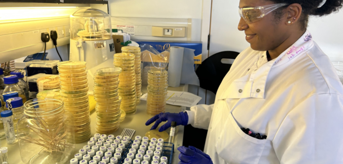 IOI DPhil student Shonnette Premchand-Branker preparing plates in the lab at IOI