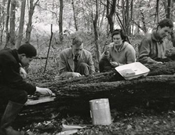 Four people reading in the woods