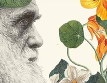 Illustration of Darwin and plants