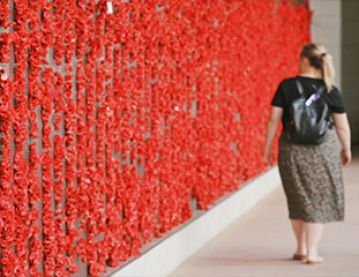 Remembrance poppy wall