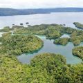 An overhead image of a chain of tropical islands covered in forest.