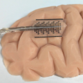 A rectangular see-through wafer with embedded electrodes overlaid on the surface of a model brain. 