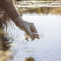 A person’s hand wearing a latex glove and holding a clear glass conical flask reaches down from a riverbank towards the surface of a river. 