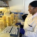 IOI DPhil student Shonnette Premchand-Branker preparing plates in the lab at IOI